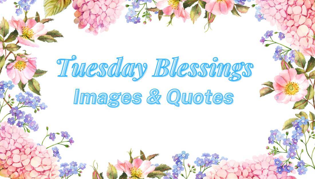Tuesday Blessings images and quotes featured image (1)
